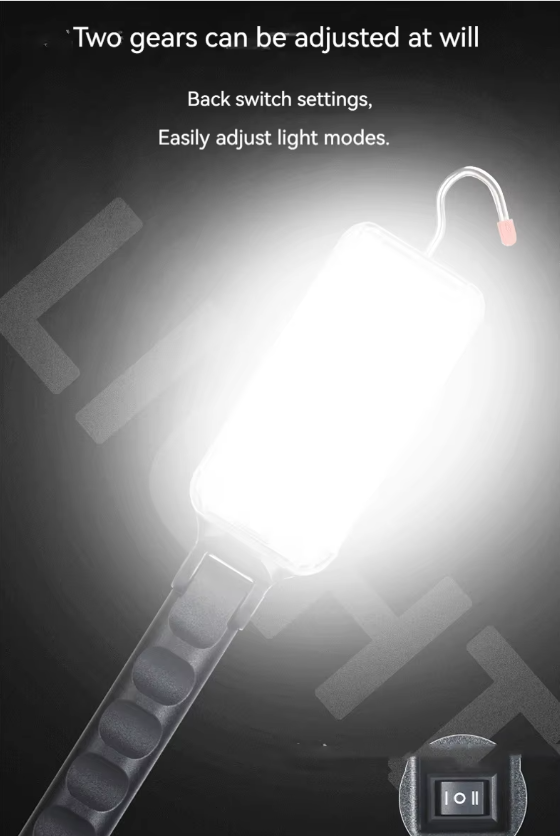 Multifunctional work light