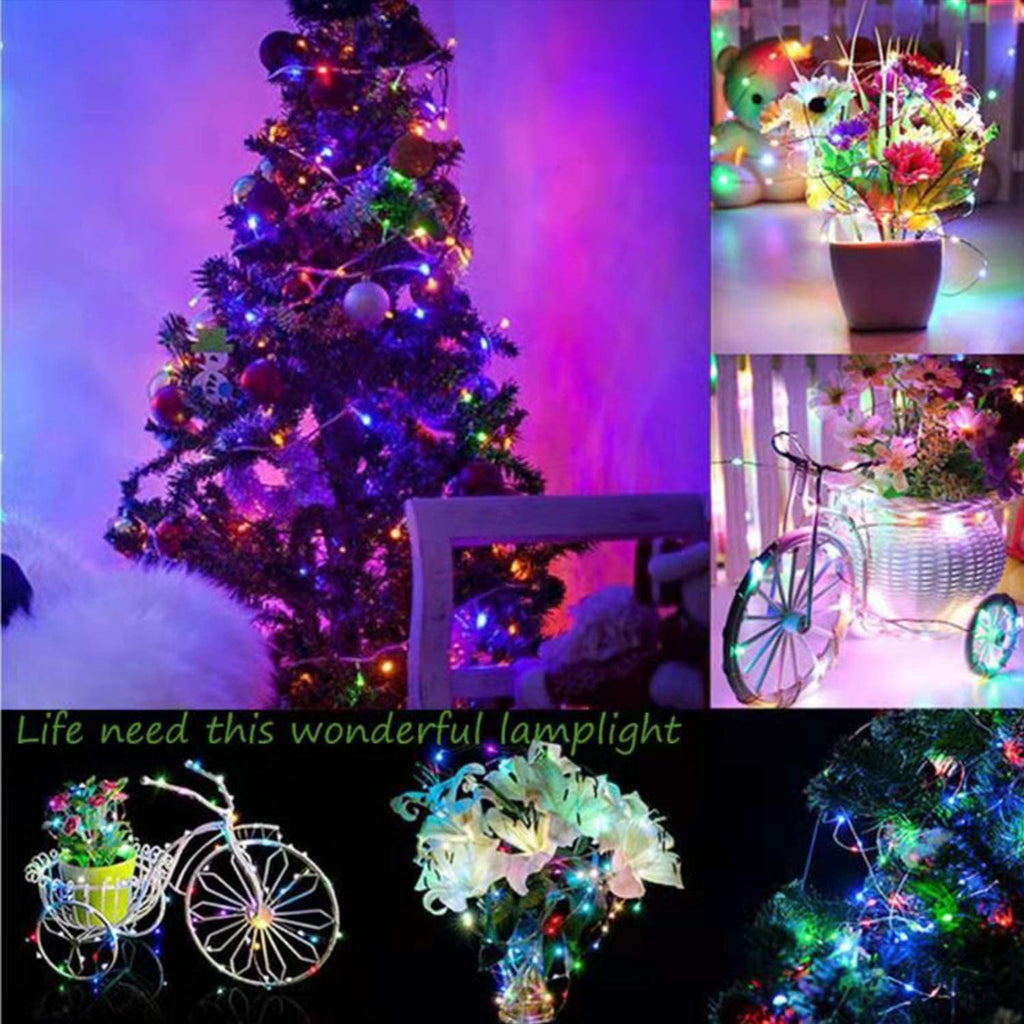 5M 50Leds USB Powered SEED LIGHTS Copper Wire String Lights Fairy String Lights -Silver Wire