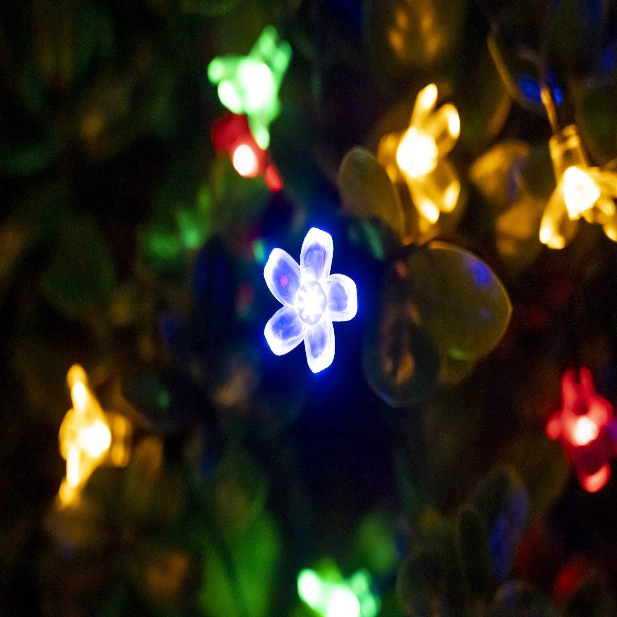 6.5M 30 Leds Solar Flower String Lights 8 Modes LED Fairy Light for outdoor Decoration