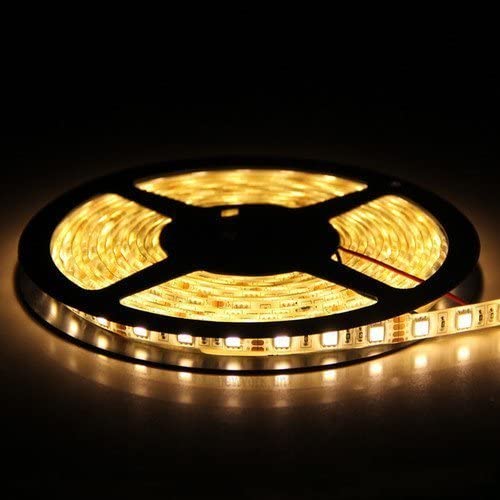 12V 5M 5050  Leds IP65 waterproof led strip