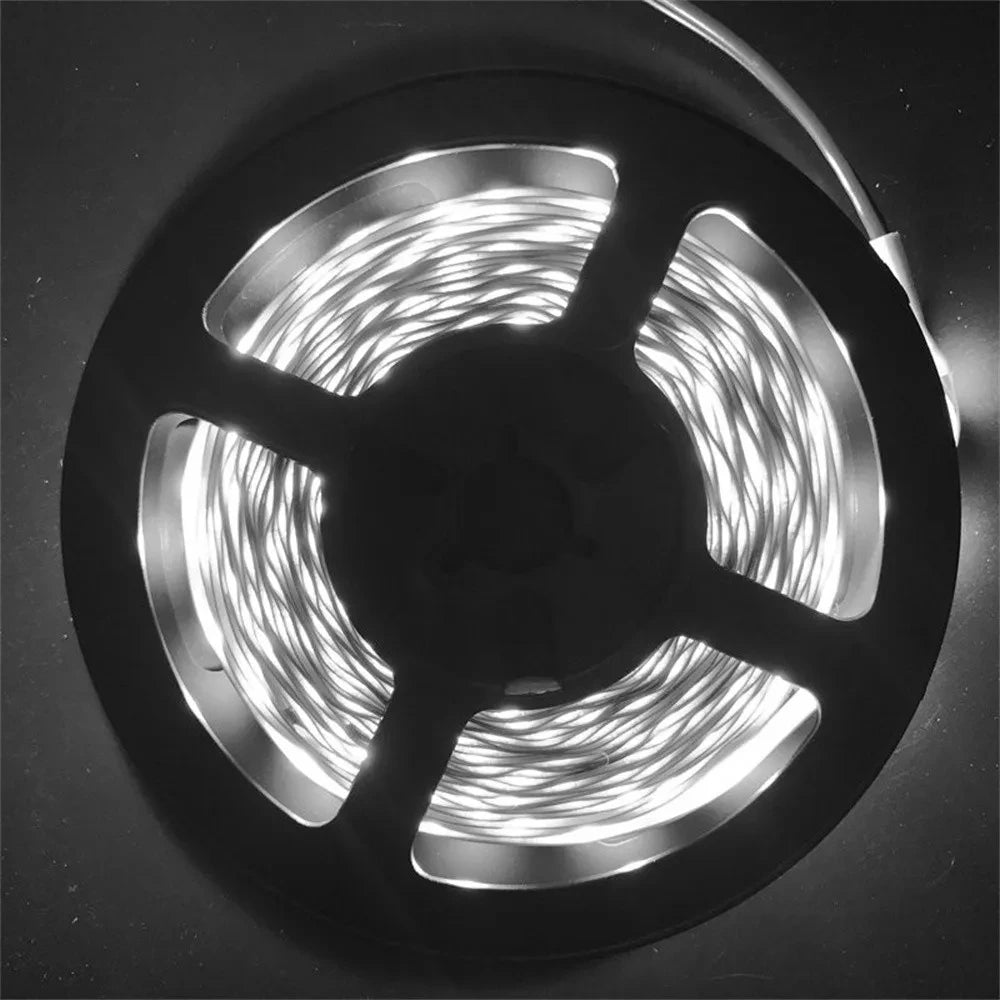 12V 5M 2835 Leds IP65 waterproof led strip