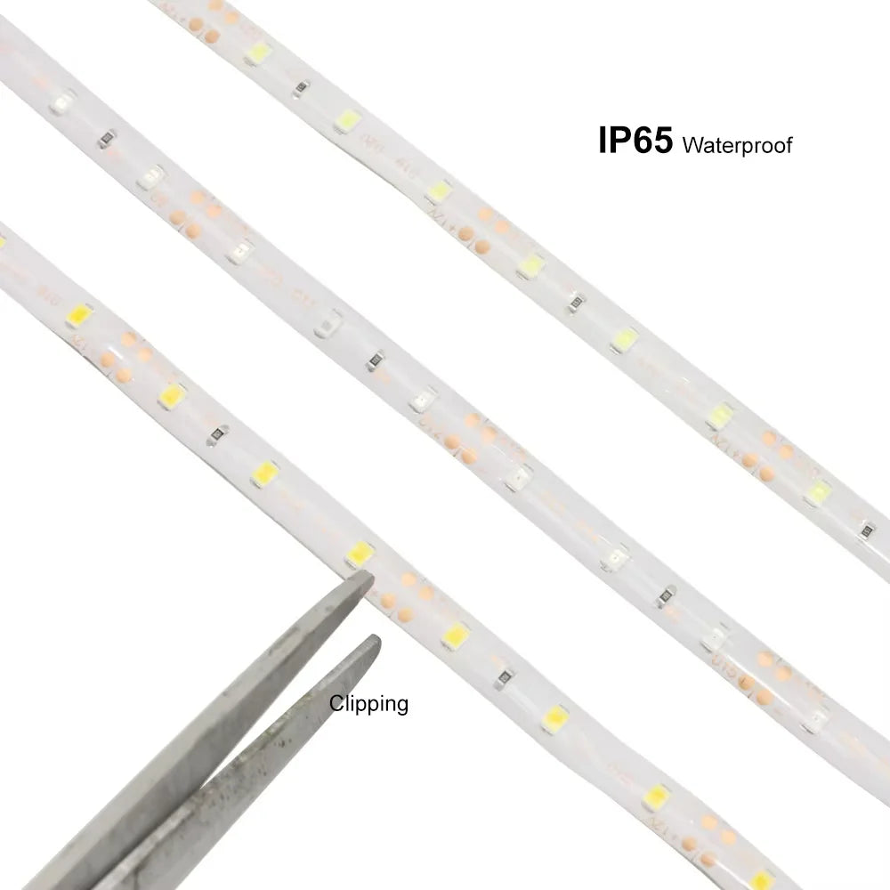 12V 5M 2835 Leds IP65 waterproof led strip