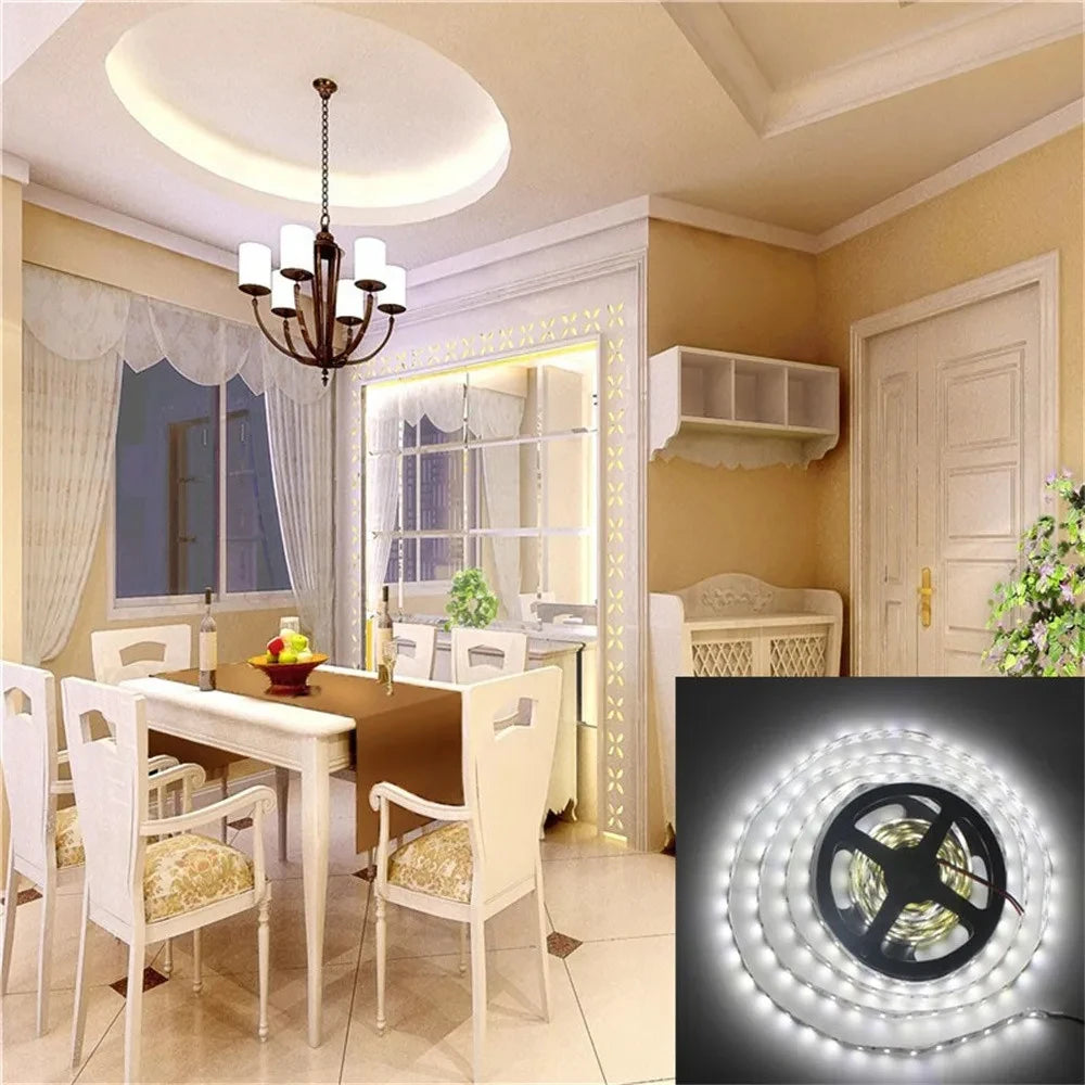12V 5M 2835 Leds IP65 waterproof led strip